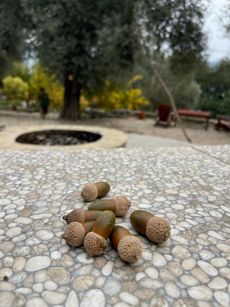 Hasdumen Antalya Bodrum Kayasi Dag Oteli מראה חיצוני תמונה