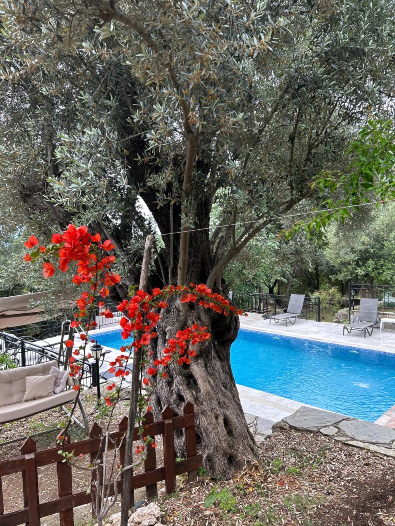 Hasdumen Antalya Bodrum Kayasi Dag Oteli מראה חיצוני תמונה